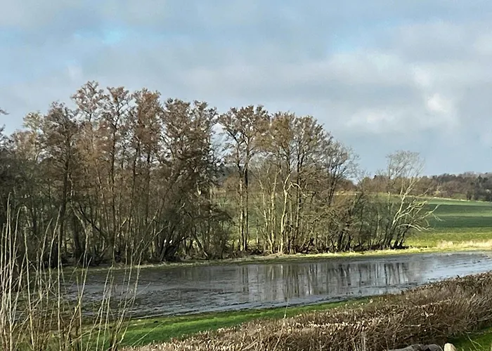Vakantiehuis Log In Calm Colours And Wilderness Bath Frorup