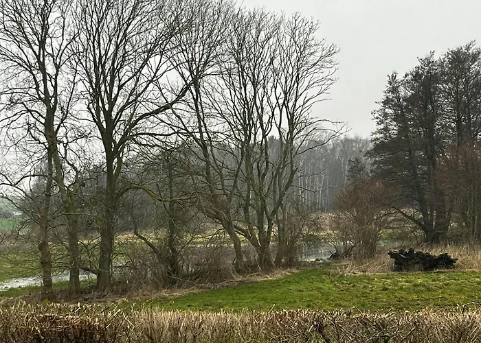 Log In Calm Colours And Wilderness Bath Vakantiehuis *