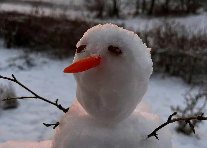 Log In Calm Colours And Wilderness Bath